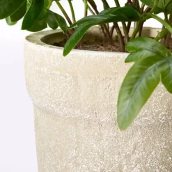 Medium Ribbon Fern Leaf In Pot - Threshold™ Designed With Studio McGee -Haven Home Store GUEST 0af103b3 ba9f 4e6c 9dfa e2f45eaf3c97