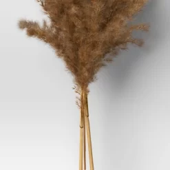 Pampas Grass Bundle - Threshold™ -Haven Home Store GUEST 26edef61 6665 4adf 8950 0f1ca68295ab
