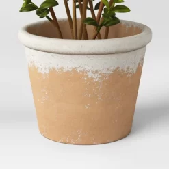 Artificial Medium Boxwood In Terracotta Pot Green - Threshold™ Designed With Studio McGee -Haven Home Store GUEST 3859bebc ef74 4067 b0a8 d2730a37750b