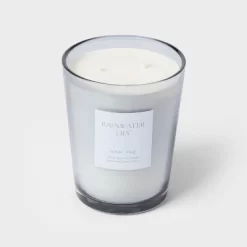 Colored Vase Glass With Dustcover Rainwater Lily Candle Gray - Threshold™ -Haven Home Store GUEST 4dd3a894 6c80 4248 a2de 93743bf8dee9