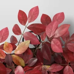 Extra Large Leaf Wreath Red - Threshold™ -Haven Home Store GUEST 5e6b4849 8d34 4657 a87e 78ecf0f9cf4c