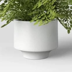 Small Fern In Modern Pot Maiden Hair Arrangement - Threshold™ -Haven Home Store GUEST 75fb7d8f c213 4761 a51b b27751ab80ae
