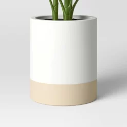 Large Variegated Plant - Threshold™ -Haven Home Store GUEST 7d5c4722 8e80 4f51 9089 0f72358617e5