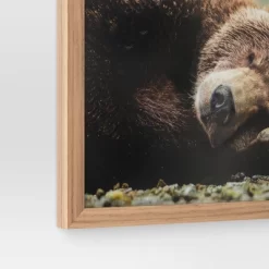 20" X 16" Bear Photography Framed Art Brown - Threshold™ -Haven Home Store GUEST 8d29808a 8d0a 4121 a8c8 64d15cc45658