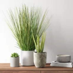 25" X 15" Artificial Onion Grass Arrangement In Ceramic Pot - Threshold™