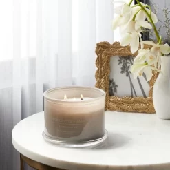 14oz Lidded Gray Glass Jar Crackling Wooden 3-Wick Candle With Clear Label Eucalyptus + Palm - Threshold™