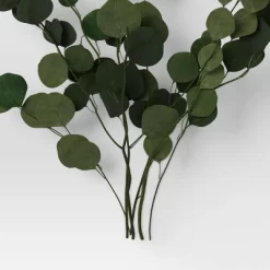 Preserved Eucalyptus Bundle - Threshold™ -Haven Home Store GUEST c7dd4b87 faec 4ba4 94c4 c0953dd894d7